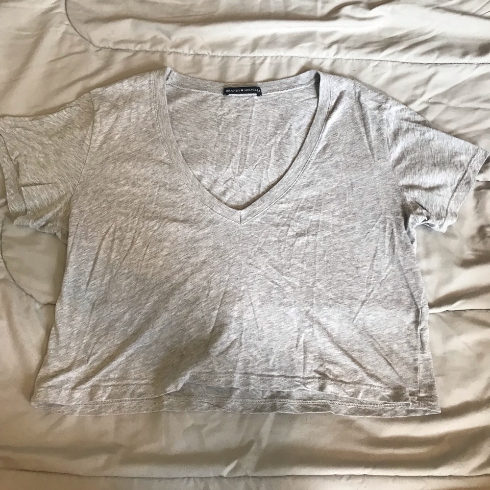 Brandy Melville Crop Top